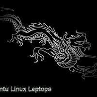 Black Chrome Dragon Ubuntu Laptops 