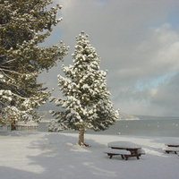 Snow on the Sea