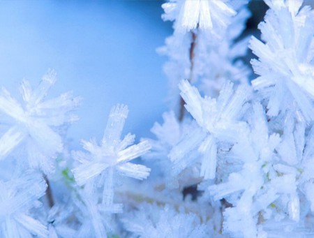 Snow Crystals - abstract, 3d, white, blue