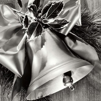 Silver Bell