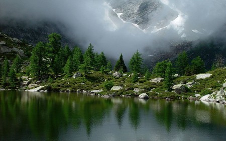 cloudy sky - nature, trees, clouds