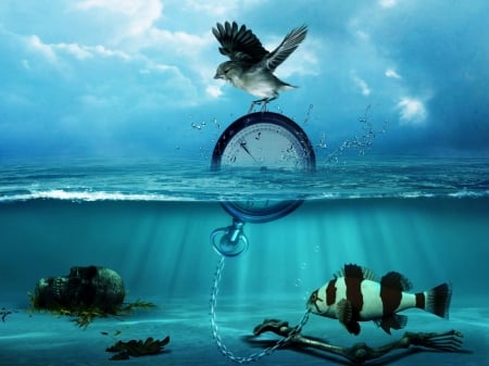 Summer fantasy - summer, photomanipulation, bird, water, clock, blue, creative, fantasy, pasare, fish