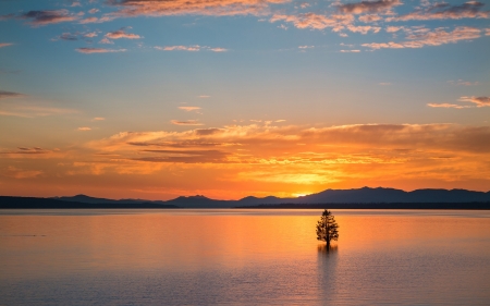 Sunset Lake - cloud, lake, tree, sunset, nature