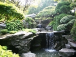 Waterfall in Japanese garden