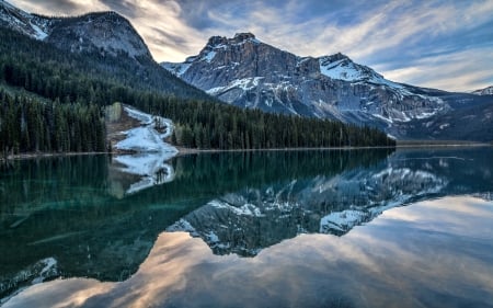 Mountain Reflection - cloud, sky, lake, water, reflection, tree, mountain, snow