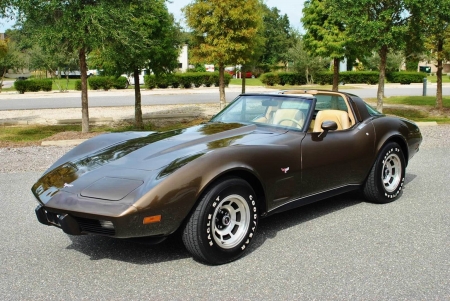 1979 Chevrolet Corvette T-Top 350 V8 - Muscle, Car, Sports, Chevrolet, Corvette, 350, Old-Timer, T-Top, V8