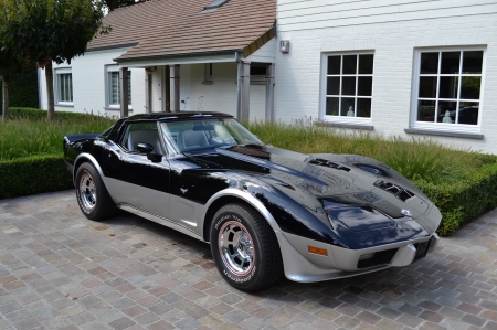 1978 Chevrolet Corvette 25th Anniversary Edition - sports, chevrolet, edition, muscle, 25th, car, anniversary, old-timer, corvette