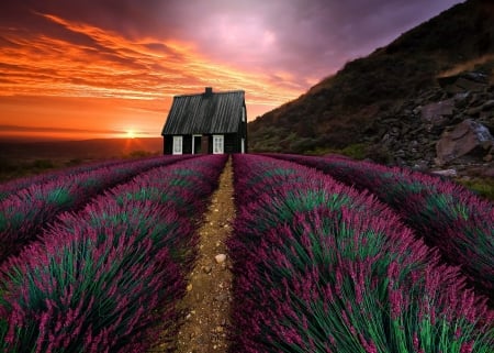 Sunset - Mountains, Field, Nature, Mountain, House