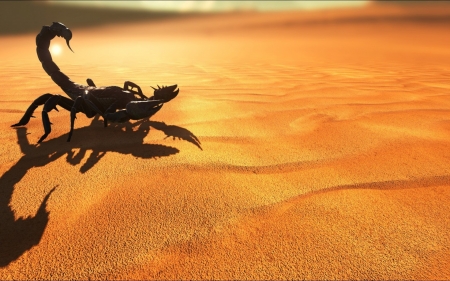 Scorpion - desert, scorpion, summer, orange, sand