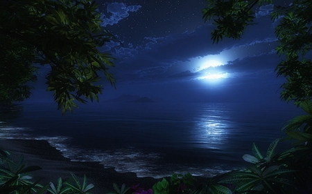 Moonlight - moon, beach, art, night, summer, luna, sea, fantasy