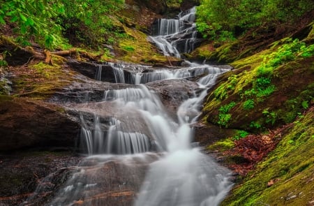 Cascading forest waterfall