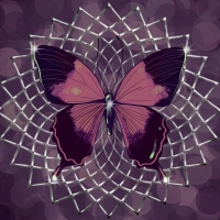 Wallpaper, background, abstraction, butterfly