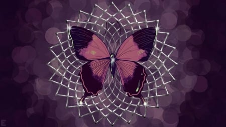 Wallpaper, background, abstraction, butterfly - Wallpaper, background, abstraction