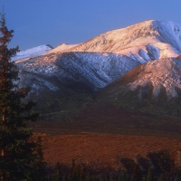 Denali Nat'l Park, Alaska