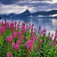 Kenai Fjords National Park, Alaska