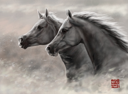 Horses - couple, bw, black, fantasy, white, art, horse, draw, luminos, cal