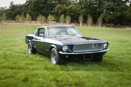 1967 Ford Mustang GT - gt, car, muscle, mustang, old-timer, ford