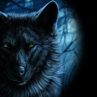 Wolf With Green Eyes