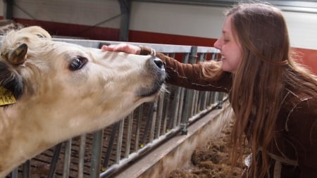 Love relations . . - women, style, fun, girls, cow, female, cowgirl, western, brunettes, ranch, barn