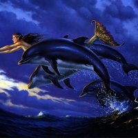 Dolphins And Mermaid