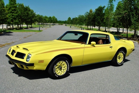 1975 Pontiac Firebird Formula - formula, firebird, car, muscle, old-timer, pontiac