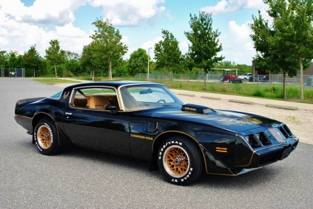 1979 Pontiac Trans Am 6.6L Big Block - big, trans am, old-timer, car, block, muscle, pontiac