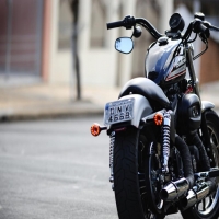 harley