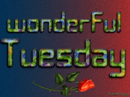 WONDERFUL TUESDAY - card, tuesday, wonderful, comment