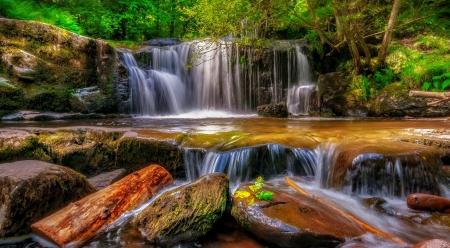 Forest waterfall - forest, trees, cascades, beautiful, waterfall