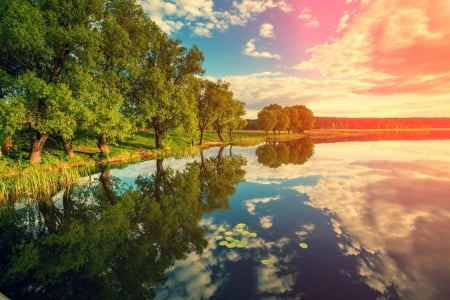 The Sky - Trees, Clouds, River, Reflection, Forest