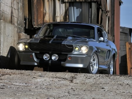 ford mustang gt500 - american, ford, muscle, mustang