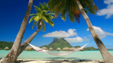 bora bora - hammock, beach, bora bora, palm