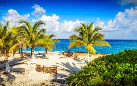 Coast of Cozumel island - summer, beautiful, beach, rest, palms, ocean, sky, tropics, vacation, coast, island, sands, lovely, sea, paradise