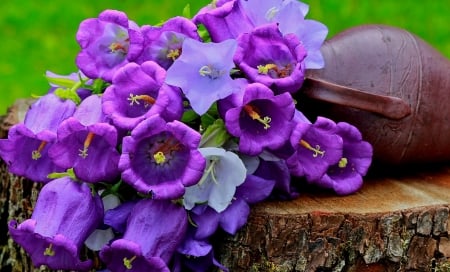 Still life - bells, summer, still life, lovely, bluw, purple, pretty, beautiful, pot, flowers