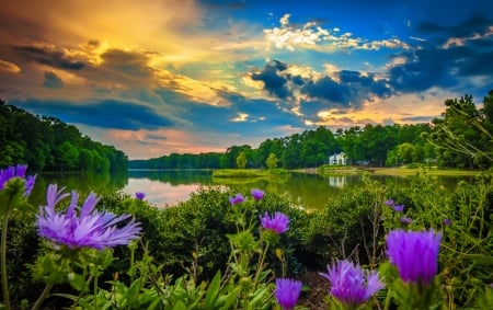 Cloudy sunset - greenery, clouds, beautiful, reflection, wildflowers, river, sunset, lake, sky