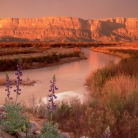 Rio Grande, Big Bend National Park