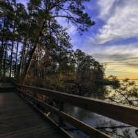 Lake Livingston State Park, Texas