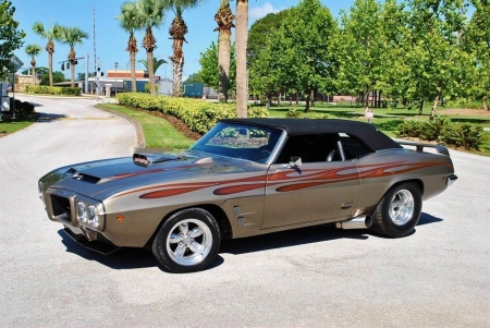 1969 Pontiac Firebird 350 V8 - v8, 350, old-timer, car, firebird, muscle, pontiac