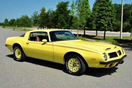 1975 Pontiac Firebird Formula - Muscle, Car, Firebird, Formula, Old-Timer, Pontiac