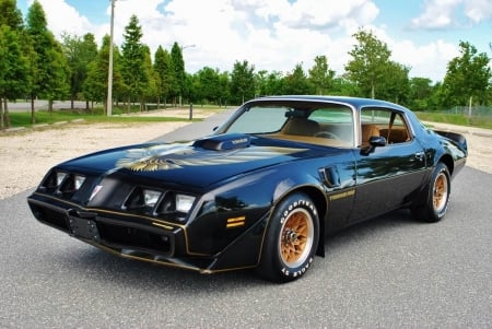 1979 Pontiac Trans Am 6.6L Big Block - muscle, car, block, trans am, old-timer, big, pontiac