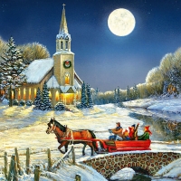 Evening Sleigh Ride