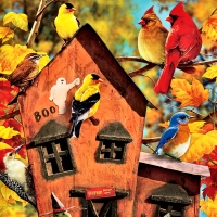 Fall Birds F