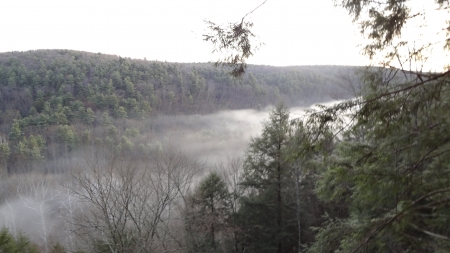 Foggy Hemlock Gorge in Spring, pt. 3 - fog, nature, forest, spring