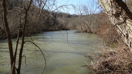 Mohican River in Spring - River, Forest, Nature, Spring