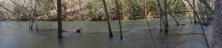 Flooded Mohican River Panorama - River, Forest, Nature, Spring