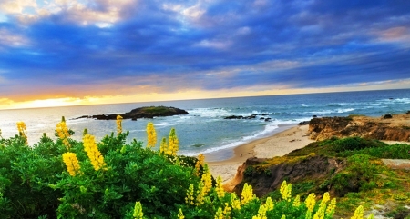 Amazing Landscape - flowers, clouds, nature, beach, rocks, sky