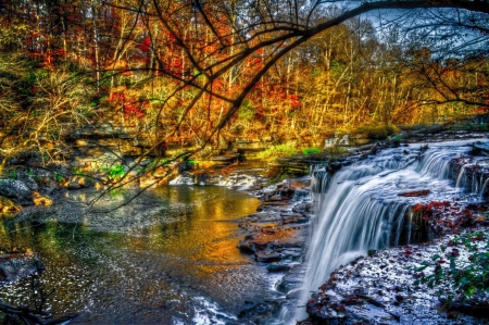 Forest  Falls - nature, autumn, trees, forest, waterfalls, rocks