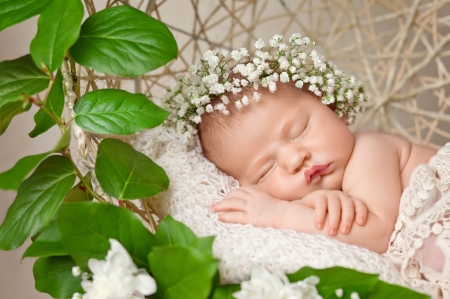 Sleeping beauty - girl, child, copil, sleep, baby, green, sweet, cute, flower, little