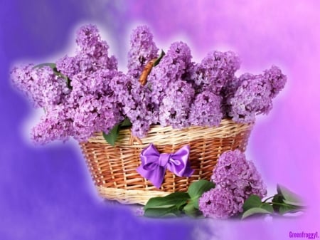 LOVELY LILACS - flowers, lovely, pretty, lilacs