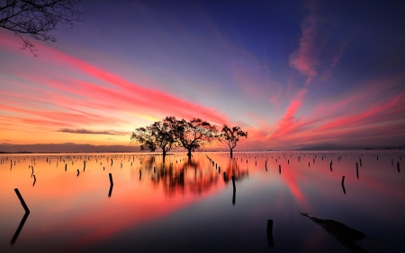 Evening Sky - lake, trees, reflection, clouds